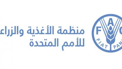 Photo of منظمة “الفاو” أسعار المواد الغذائية تسجل أعلى ارتفاع خلال مايو الماضي