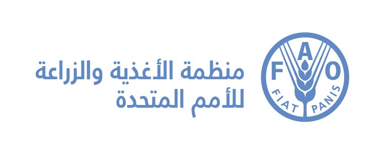 الفاو