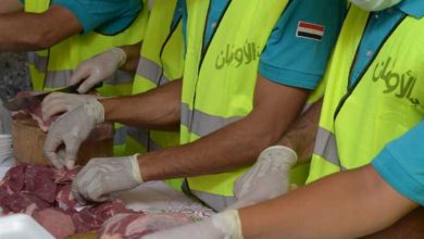 Photo of ذبح 10 عجول أضاحي وتوزيعها على الفئات الأولى بالرعاية خلال أيام عيد الأضحى المبارك بالقليوبية