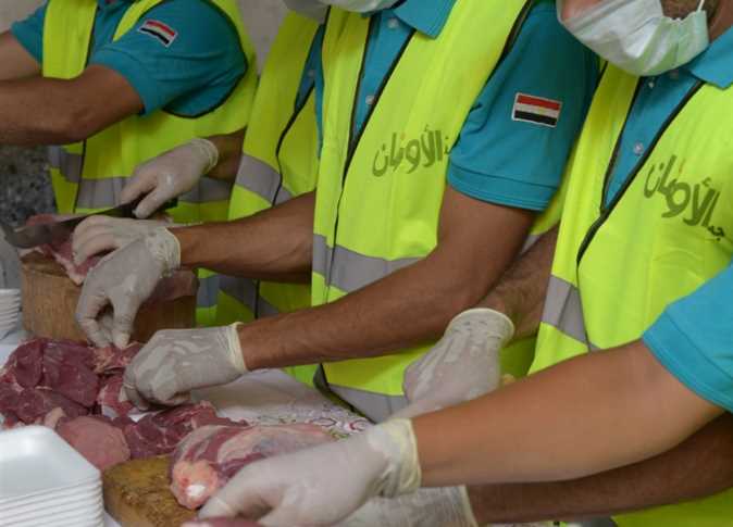 عيد الأضحى ذبح 10 عجول أضاحي وتوزيعها على الفئات الأولى بالرعاية خلال أيام عيد الأضحى المبارك بالقليوبية