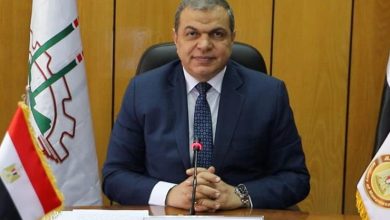 Photo of القوى العاملة: غلق 16 منشأة وتحرير 82 محضرأ لمنشآت مخالفة بدمياط