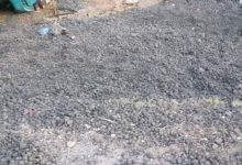 Photo of شاهد بالصور…. مجزرة قسنطينة المرورية