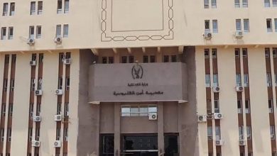 Photo of ضبط 10 تجار مخدرات و2.8 طن لجوم فاسدة في حملة بالقليوبية