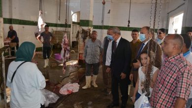 Photo of محافظ القليوبية يتفقد مجزر كفر سعد ببنها