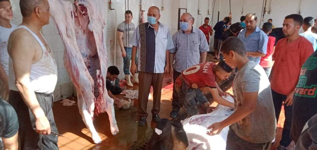 بالصور.. مجازر القليوبية تستقبل المواطنين مجانا والمحافظ يطالب المواطنين بالألتزام بالذبح داخل المجازر