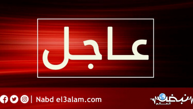 Photo of إجازة عيد الأضحى تبدأ من السبت 17 يوليو حتى 24 يوليو الجاري