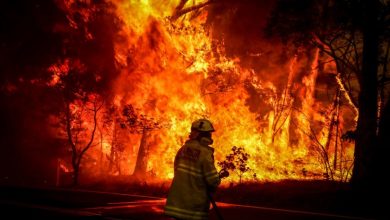 Photo of “حرائق الغابات” إجلاء السياح والسكان في اليونان مع استمرار اشتعال النيران