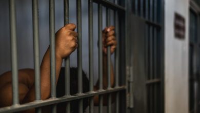 Photo of بعد خمسة أعوام مراقبة.. السجن المشدد 10 سنوات لـ 5 متهمين في قضية هتك عرض “عامل” بالقليوبية