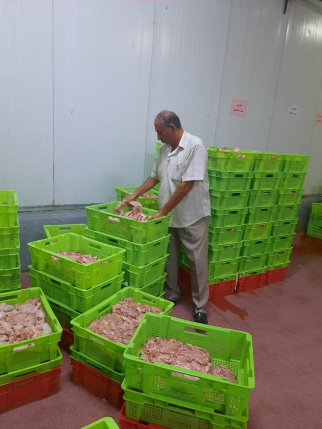 مجزر شبين القناطر الطب البيطري بالقليوبية