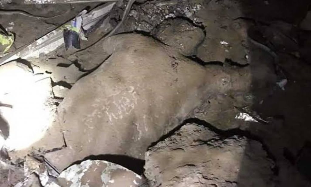 عثرت الأجهزة الامنية بمحافظة الجيزة، على نصف جثة لرجل ملقاة أسفل الطريق الدائري بمنطقة الوراق.  تلقى قسم شرطة الوراق بلاغا من شرطة النجدة بوجود جثة أشلاء بشرية أسفل الطريق الدائرى بدائرة القسم وعلى الفور انتقلت أجهزة الأمن وعثر على نصف جثمان (النصف السفلى) وتبين أن يعود لرجل ويقوم رجال المباحث بتفريغ كاميرات المراقبه وسؤال شهود العيان للوقوف على ملابسات الواقعة. ومن جهة أخرى يجري ضباط الإدارة العامة لمباحث الجيزة برئاسة اللواء مدحت فارس مدير الإدارة، تحريات أمنية مكثفة لكشف غموض وتفاصيل واقعة العثور على أشلاء آدمية "ساقين مبتورتين" بكوم قمامة بأحد شوارع دائرة قسم شرطة إمبابة شمال المحافظة، من خلال التحفظ على كاميرات المراقبة الموجودة بمحيط المكان محل العثور على الساقين تمهيدا لفحصها، وكذا مناقشة شهود العيان من أهالي المنطقة لسرعة بيان تفاصيل وملابسات الواقعة. البداية بتلقي المقدم مؤمن فرج رئيس مباحث قسم شرطة إمبابة بمديرية أمن الجيزة، إشارة من غرفة عمليات النجدة مفادها العثور على أشلاء آدمية "ساقين مبتورتين" بأحد الشوارع بدائرة القسم، وعلى الفور انتقلت الأجهزة الأمنية إلى محل الواقعة، وبالفحص تبين العثور على أشلاء آدمية "ساقين مبتورتين" بكوم قمامة، وتكثف الأجهزة الأمنية بمديرية أمن الجيزة جهودها لسرعة كشف ملابسات وتفاصيل الواقعة. تحرر محضر بالواقعة وأخطر اللواء رجب عبدالعال مساعد وزير الداخلية مدير أمن الجيزة والذي أحال الواقعة إلى النيابة العامة لمباشرة التحقيقات. المصدر: البوابة نيوز