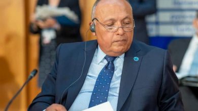 Photo of سامح شكري يتناول محددات السياسة الخارجية المصرية بنيويورك