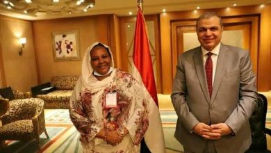 Photo of “سعفان وتيسير النوراني ” يبحثان سُبل التعاون بين مصر والسودان 
