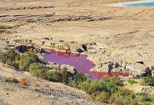 Photo of الأردن تكشف سر المياه الحمراء بالبحر الميت