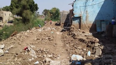 Photo of إزالة 20 حالة تعدي بقرية المدامود قبلي في الأقصر