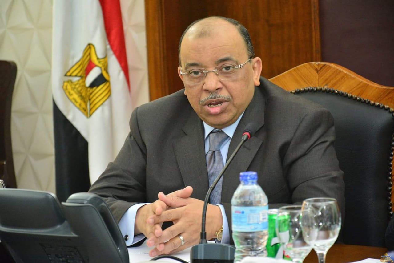 التنمية المحلية