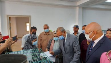 Photo of محافظ القليوبية ورئيس جامعة بنها يطلقان مبادرة لدعم الأسر الأكثر احتياجا بشبين القناطر