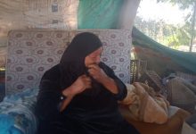 Photo of بالفيديو.. مأساة سيدة عمرها ٧٠ عاما تنام في الشارع وسط الكلاب .. وتستغيث بالرئيس