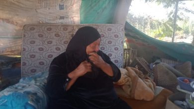 Photo of بالفيديو.. مأساة سيدة عمرها ٧٠ عاما تنام في الشارع وسط الكلاب .. وتستغيث بالرئيس