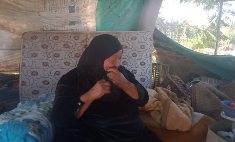 Photo of بالفيديو.. مأساة سيدة عمرها ٧٠ عاما تنام في الشارع وسط الكلاب .. وتستغيث بالرئيس