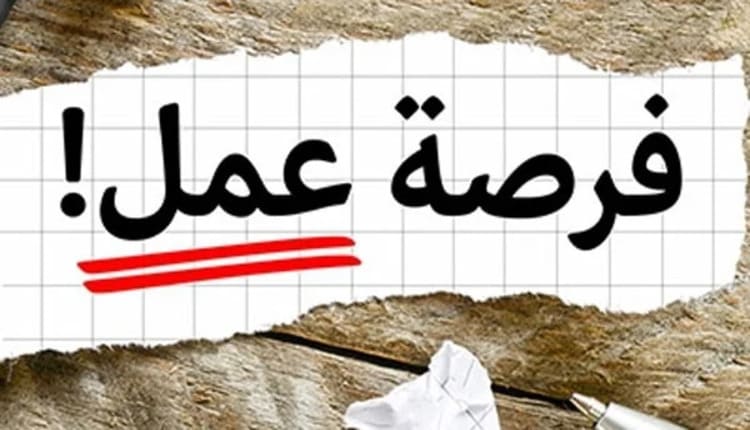 أعلنت مجموعة شركات ومصانع العالمية للملابس الجاهزة عن فرص عمل علي النحو التالي:- مسؤول تسويق، سكرتارية، مبيعات مباشرة  وذلك بمرتب يبدأ من 2500 جنيه يصل الى 4000 جنية  مواعيد التقديم تبدأ من 10 صباحا حتى 4 عصراً يومي السبت والثلاثاء  كما أعلنت الشركة عن وجود فرص عمل للسيدات وربات المنازل، فرص عمل للطلبة أثناء فترة الدراسة والاجازة  العنوان: بنها- شارع المحطة بجوار مشويات التعلب أعلى محل بغداد للنظارات  للتواصل: واتس اب 01009986559 - 01559909214 - 01013008267