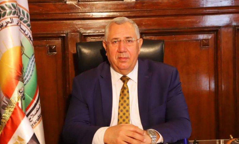 Photo of الزراعة .. توفير منتجات البيض والدواجن بأسعار مخفضه