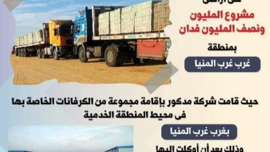 Photo of إقامة 3 محطات كهرباء بأراضي 1.5 مليون فدان بالمنيا