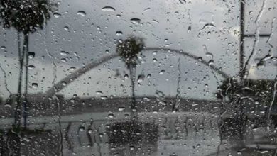 Photo of “الأرصاد” تحذر من الساعات المقبله… وسقوط أمطار علي السواحل الشمالية