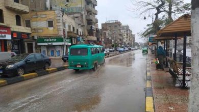 Photo of بعد الإسكندرية والقليوبية.. محافظة أخرى تعلن تعطيل الدراسة غدًا بالمدارس