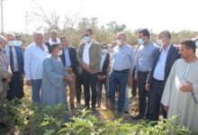 Photo of وزير الري:تم تأهيل أكثر من 3100 كيلومتر من الترع