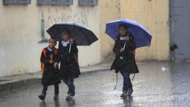 Photo of رسميا تعطيل الدراسة غدا في المدارس بمحافظة القليوبية بسبب سوء الأحوال الجوية
