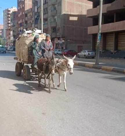 Photo of نرصد تفاصيل انتهاك براءة أطفال الشوارع ببنها