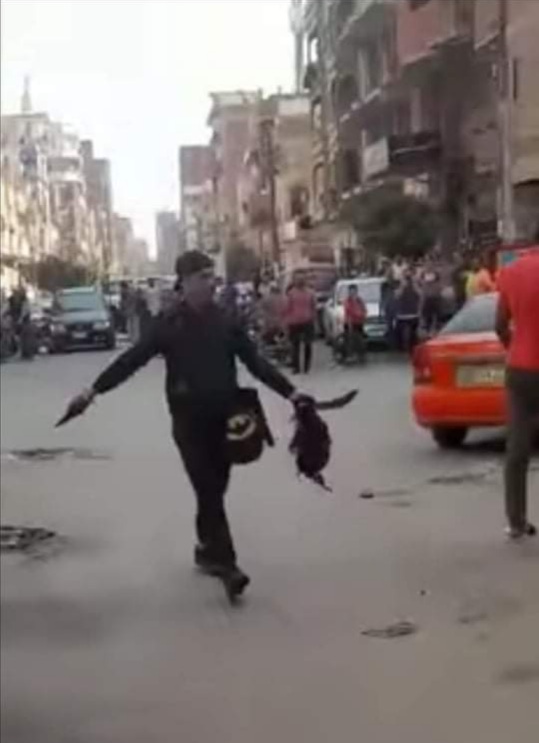 تمكنت الأجهزة الأمنية من ضبط المتهم بقتل آخر وسط شوارع الإسماعيلية ، والتمثيل بجثته ، والطواف برأسه بالشارع ، تبين لاحقًا أن المتهم قام بقتل المجني عليه ، لينتقم منه لقيام القتيل بإغتصاب أخت ، وزوجة الجاني. كما كشف رجال الأمن عن هوية القتيل والذي يُدعي "محمد الصادق" 42 سنة ، مقيم بمنطقة البلابسة بحي ثان الإسماعيلية. بدأ الأمر عندما تلقى اللواء منصور لاشين، مدير أمن الإسماعيلية، إخطارًا يفيد بارتكاب شاب جريمة قتل أمام المارة ، حيث أقدم على ذبح شاب والطواف برأسه بين المواطنين بسبب وجود خلافات بينهما. وبتقنين الإجراءات تم القبض علي المتهم ، وتبين المجني عليه كان يعمل بمحل موبيليا خاص بشقيق المجني عليه. و تبين انه مهتز نفسيًا ، وسبق حجزه بأحد المصحات النفسية لعلاج الإدمان.
