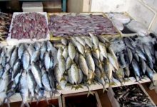Photo of ضبط 200 صندوق رنجة غير صالحة للإستخدام الآدمي في الغربية
