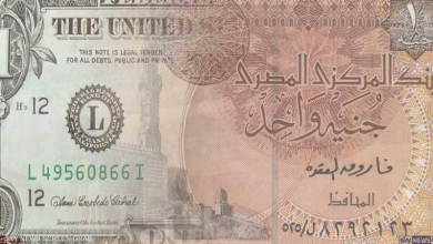 Photo of مصر تحقق “رقما اقتصاديا” مميزا…رغم جائحة كورونا
