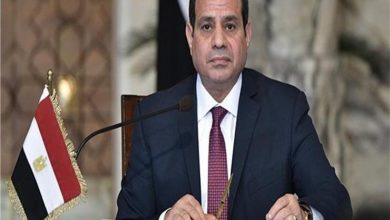 Photo of الرئيس السيسي يقوم بجولة تفقدية لعدد من المشروعات القومية بقنا