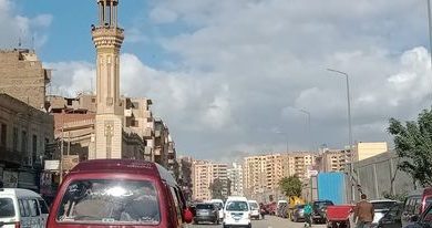Photo of القليوبية تعلن حالة الطوارئ لمواجهة الطقس السيء