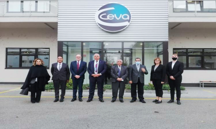 قام السيد القصير ، وزير الزراعة واستصلاح الأراضى ، بعمل زيارة لشركة سيفا فيليكسا (Ceva Phylaxia) لإنتاج الأمصال واللقاحات البيطرية ، وكان يرافقه د محمد سليمان ، رئيس مركز البحوث الزراعية ، والدكتور سعد موسى ، المشرف على العلاقات الزراعية الخارجية ، وبحث مع رئيس الشركة التعاون فى مجال الامصال واللقاحات. وأكد القصير ، خلال الاجتماع مع قيادات الشركة ، أن مصر تشهد طفرة كبيرة فى مجال الثروة الحيوانية والداجنة حيث تقوم بإنتاج حوالى 1.4 مليار طائر سنويا ، مشيرا إلى إمكانية وجود شراكة بين معهد الأمصال واللقاحات التابع لوزارة الزراعة والشركة المجرية. واستمع القصير إلى عرض من رئيس الشركة والتى تعتبر من ضمن اكبر عشر شركات عالمية فى هذا المجال ، إذ تنتج 57 مليار جرعة لقاح سنويا وتستحوذ على 60% من السوق العالمى للأمصال واللقاحات خاصة الداجنة ، وهى من الشركات التى تنتج امصال ولقاحات بيطرية للحيوانات والدواجن وحتى الأمراض التى تنقل من الحيوانات للانسان ولها فرع بمصر.