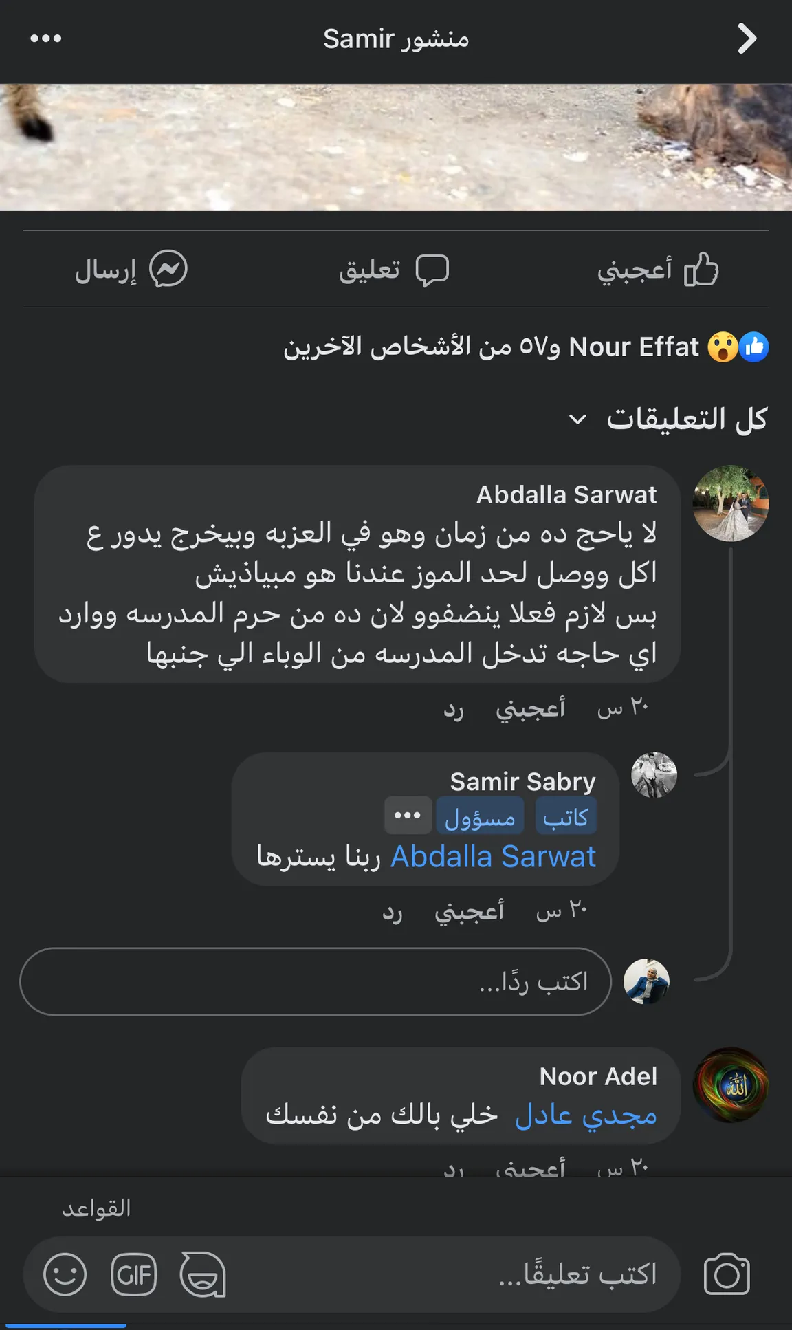 بعد ظهور حيوانات مخيفة.. أهالي قرية دملو يستغيثون بمحافظ القليوبية.."انقذوا أولادنا"