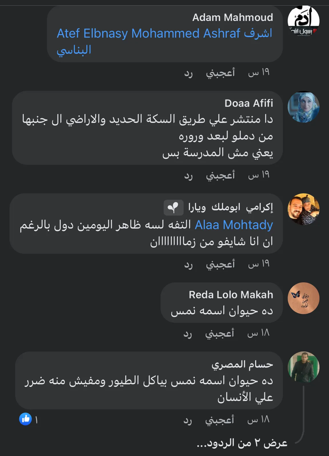بعد ظهور حيوانات مخيفة.. أهالي قرية دملو يستغيثون بمحافظ القليوبية.."انقذوا أولادنا"