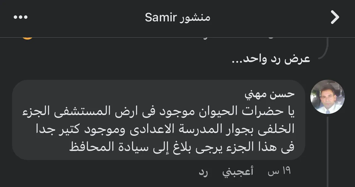بعد ظهور حيوانات مخيفة.. أهالي قرية دملو يستغيثون بمحافظ القليوبية.."انقذوا أولادنا"