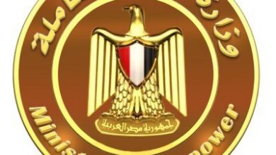 Photo of القوى العاملة:تعيين 482 شابا..وصرف 544 ألف جنيه للعمالة غير المنتظمة بدمياط