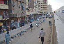 Photo of محافظ القليوبية يتابع أعمال النظافة بشوارع شبرا والخانكه والمشروعات القومية الجاري تنفيذها