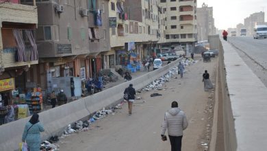 Photo of محافظ القليوبية يتابع أعمال النظافة بشوارع شبرا والخانكه والمشروعات القومية الجاري تنفيذها