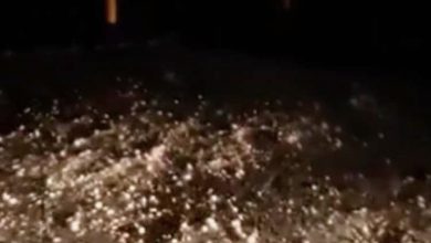 Photo of تساقط الثلوج بشرم الشيخ وإدارة مرور جنوب سيناء تحذر من السفر
