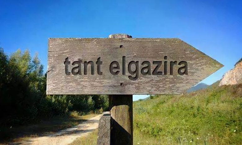 Photo of طنط الجزيرة.. قرية ريفية تحولت تابعيتها من المنوفية الى القليوبية