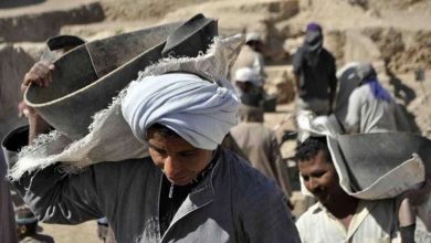 Photo of الحكومة تنفي تحديث بيانات العمالة غير المنتظمة عبر الهاتف