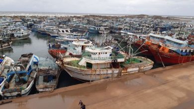 Photo of توقف حركة الصيد بالبحر المتوسط لسوء الأحوال الجوية بكفر الشيخ