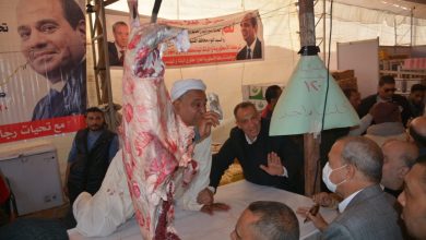 Photo of صور.. إطلاق ٩ منافذ متحركة بالسلع الغذائية من إنتاج وزارة الزراعة بأسعار مخفضة لمواطني القليوبية