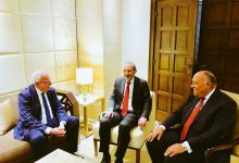 Photo of شكري والصفدي يبحثان تطورات القضية الفلسطينية