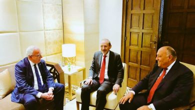 Photo of شكري والصفدي يبحثان تطورات القضية الفلسطينية